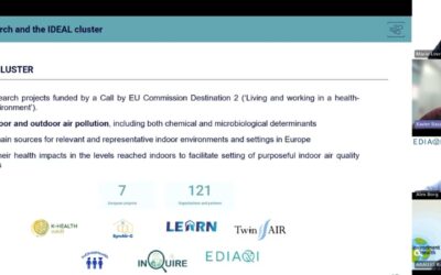 From Research to Policy: A Recap of the Inaugural EDIAQI Webinar